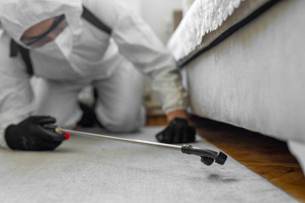 Professional Bed Bug Control technician working in Vega, TX